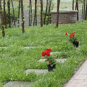 Kamarás Vendégház Ártánd