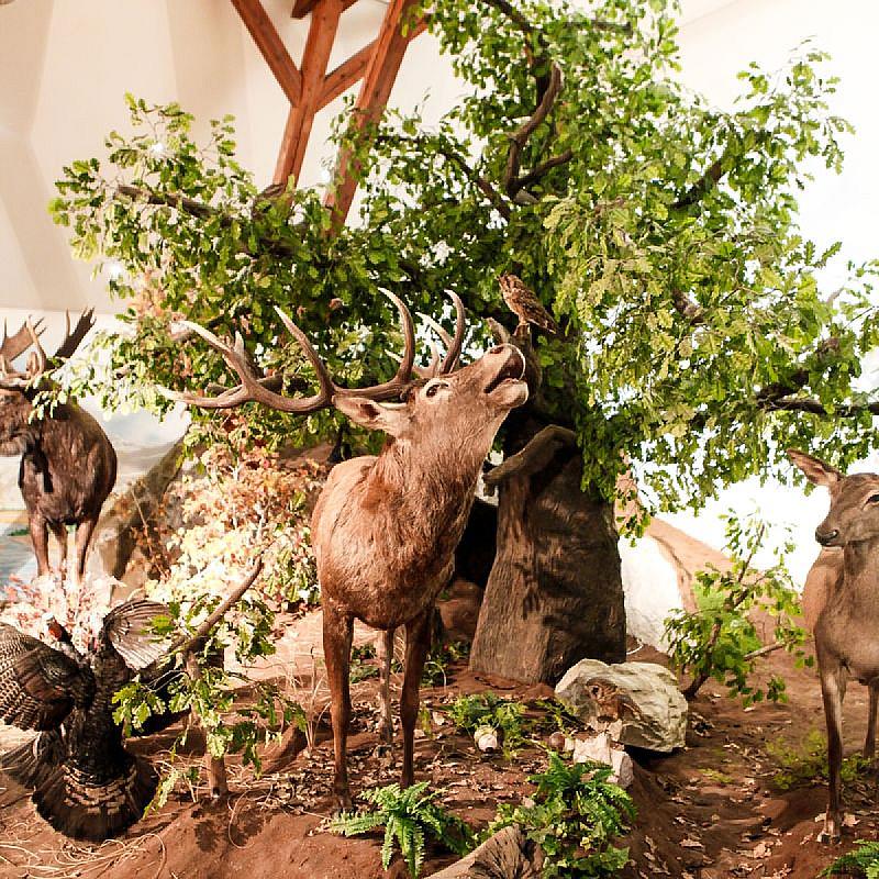 Hunor Hotel és Étterem Vásárosnamény