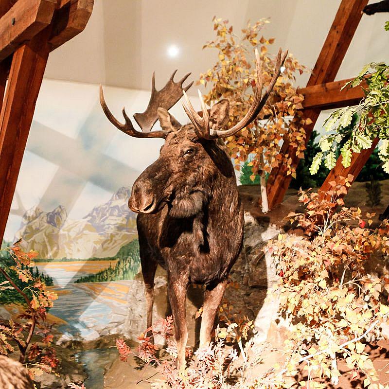 Hunor Hotel és Étterem Vásárosnamény