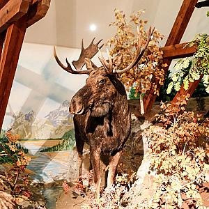 Hunor Hotel és Étterem Vásárosnamény