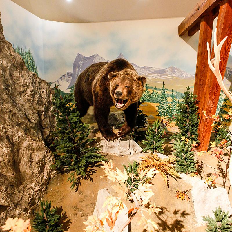 Hunor Hotel és Étterem Vásárosnamény