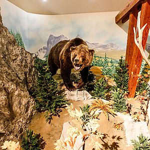 Hunor Hotel és Étterem Vásárosnamény