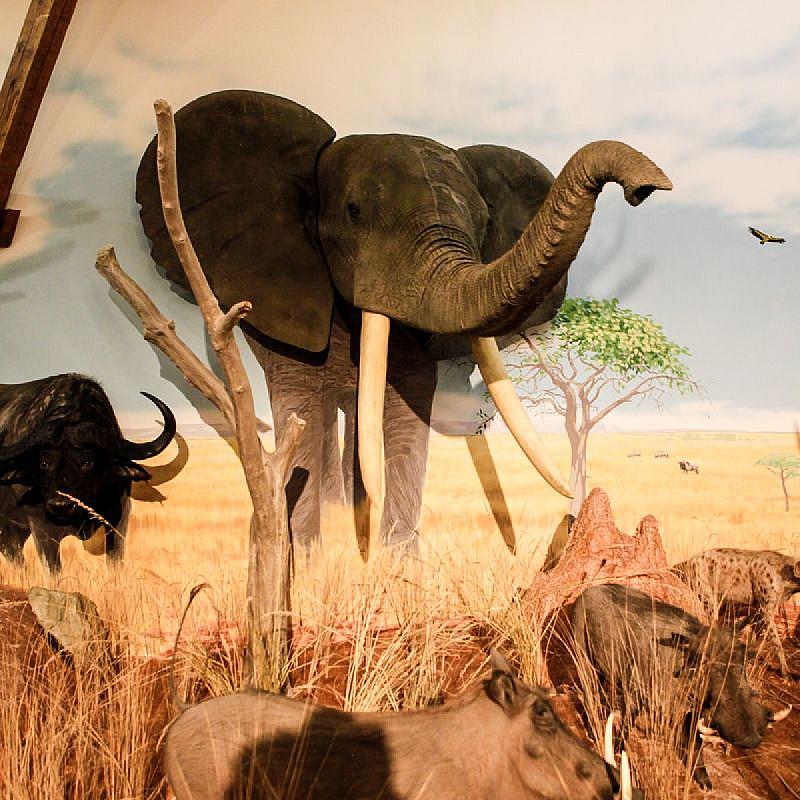 Hunor Hotel és Étterem Vásárosnamény