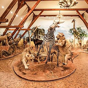 Hunor Hotel és Étterem Vásárosnamény