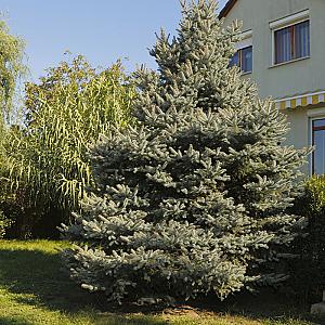 Mandala Vendégház Pilis