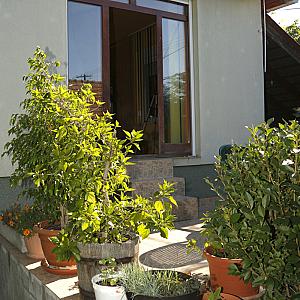 Mandala Vendégház Pilis