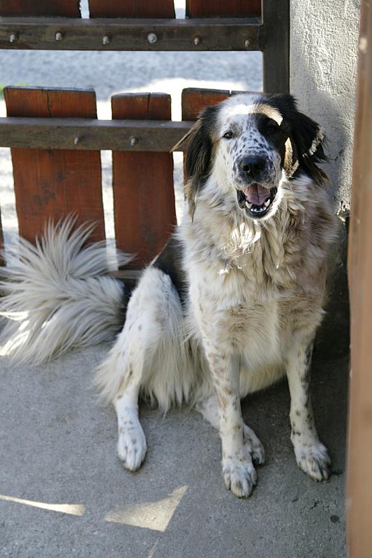 Mandala Vendégház Pilis