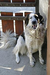 Mandala Vendégház Pilis