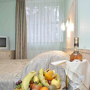 Salgó Hotel Salgótarján