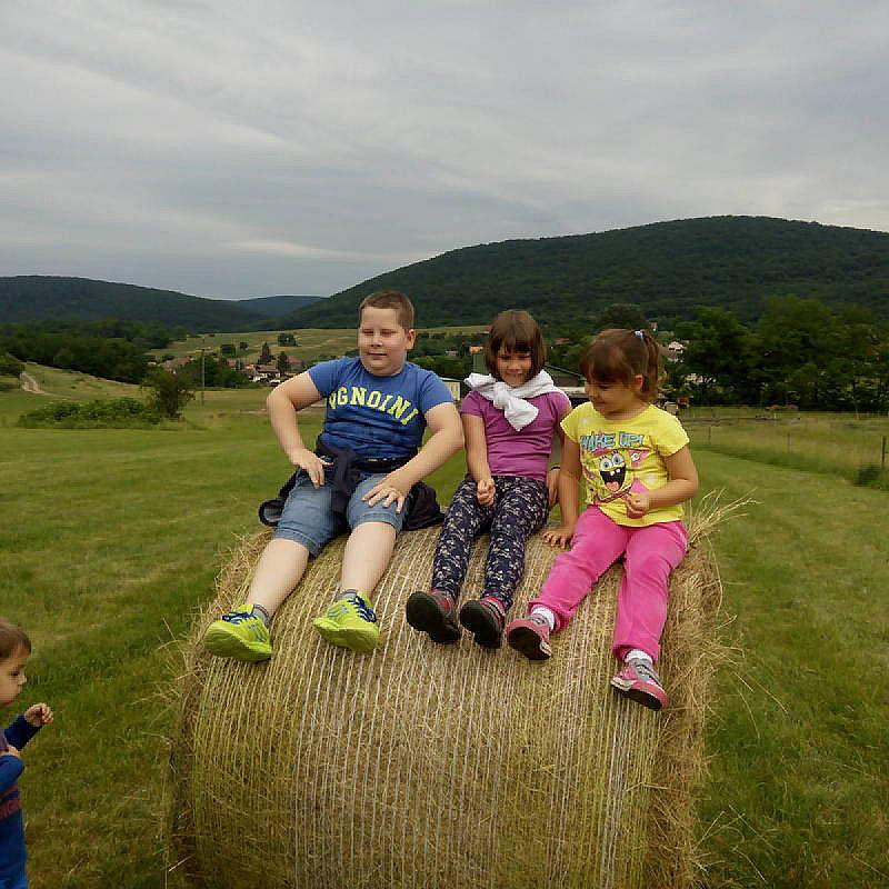 Toldi Ház Alsótold