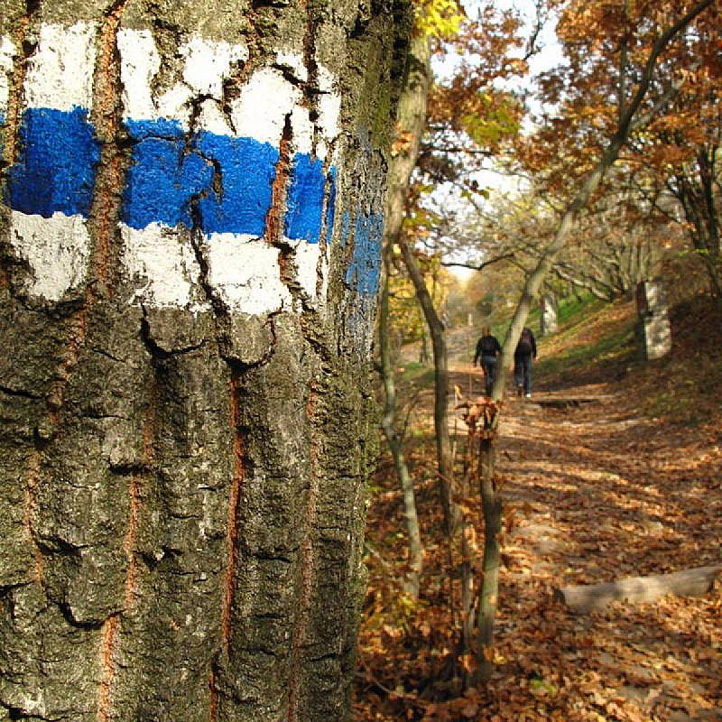 Toldi Ház Alsótold