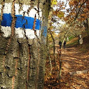 Toldi Ház Alsótold