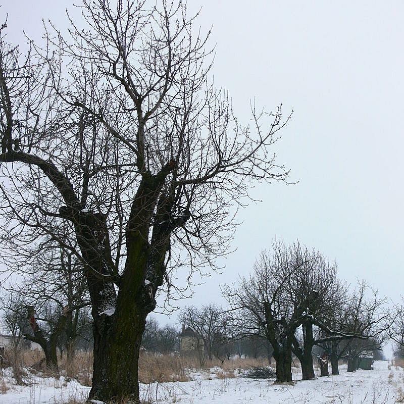 Élő Tisza Vendégház Nagykörű