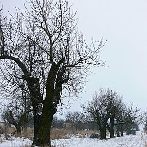 Élő Tisza Vendégház Nagykörű