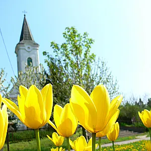 Élő Tisza Vendégház Nagykörű