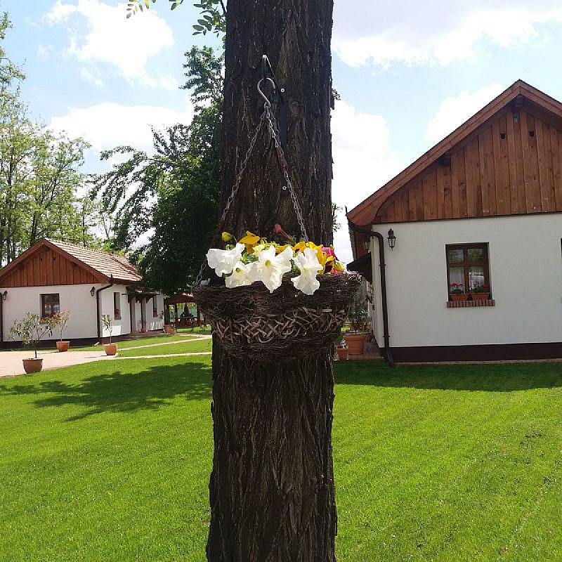 Tóth Vendégház Újfehértó