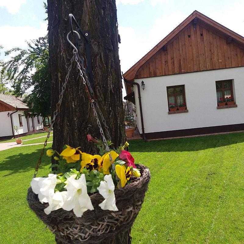 Tóth Vendégház Újfehértó