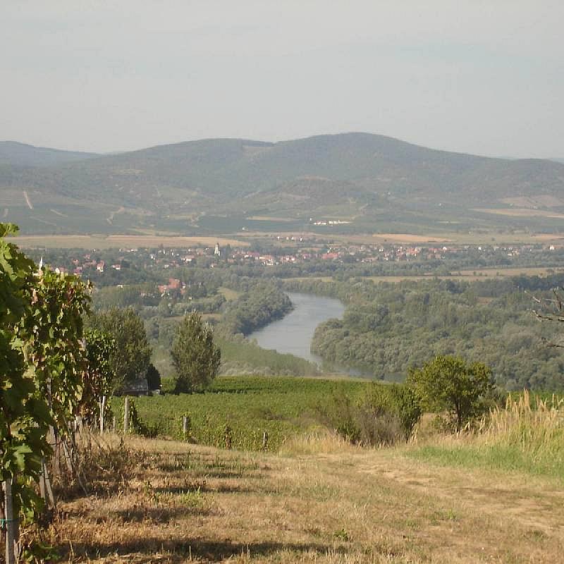 Toldi Fogadó Tokaj