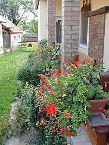 Szent Borbála Vendégház Érsekvadkert