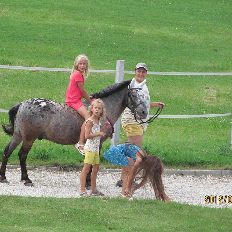 Nagybajcsi Lovaspark és Vendégház