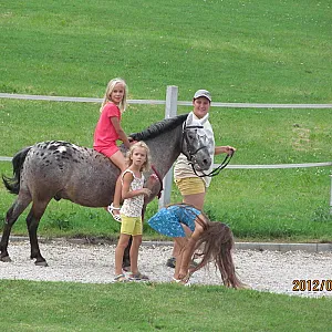 Nagybajcsi Lovaspark és Vendégház