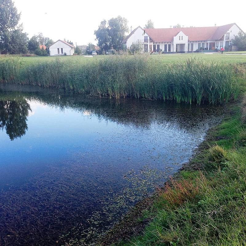 Nagybajcsi Lovaspark és Vendégház