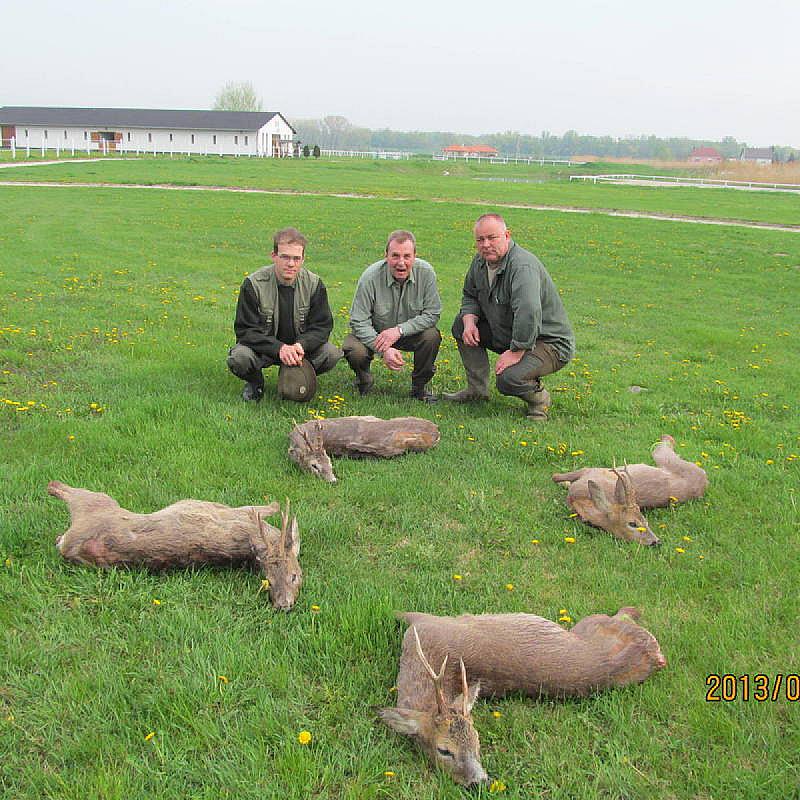 Nagybajcsi Lovaspark és Vendégház