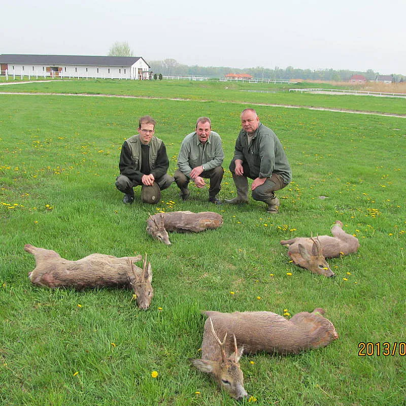 Nagybajcsi Lovaspark és Vendégház