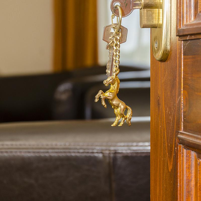 Nagybajcsi Lovaspark és Vendégház