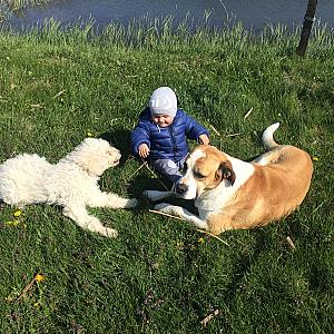 Nagybajcsi Lovaspark és Vendégház