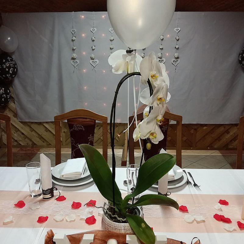 Hotel Família Zamárdi