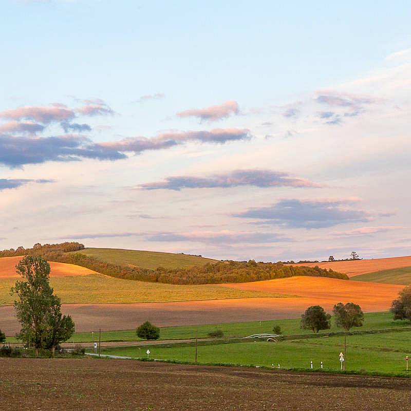 Sáppusztai Pálinka és Wellness Panzió Damak