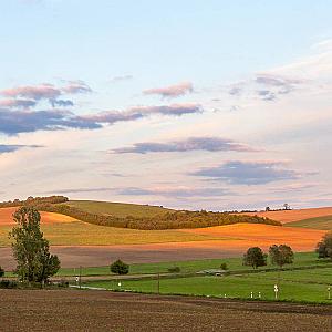 Sáppusztai Pálinka és Wellness Panzió Damak