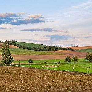 Sáppusztai Pálinka és Wellness Panzió Damak