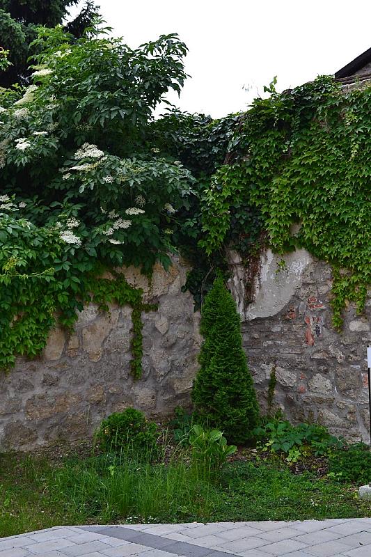 Althann Vendégház és Konferencia Központ Vác