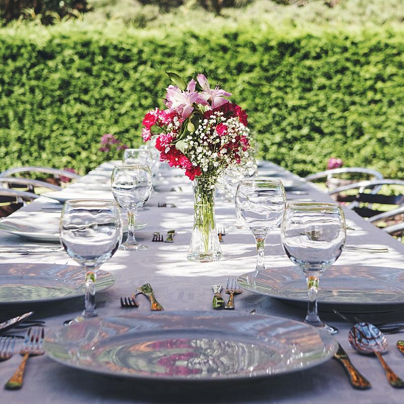 Csipkerózsa Parkhotel Csólyospálos