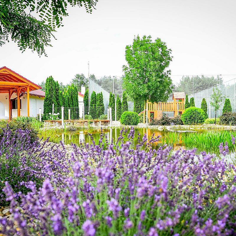 Csipkerózsa Parkhotel Csólyospálos