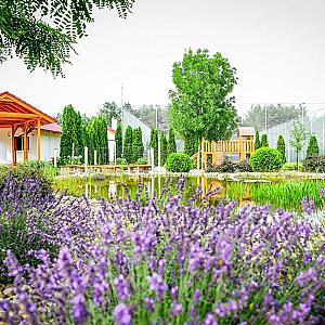 Csipkerózsa Parkhotel Csólyospálos