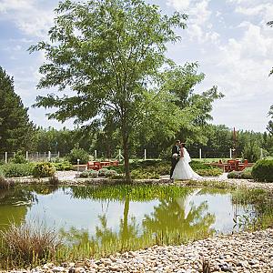 Csipkerózsa Parkhotel Csólyospálos