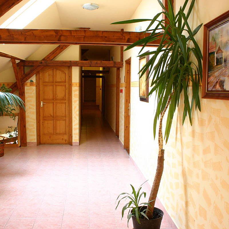 Kenguru Panzió Hotel Hódmezővásárhely