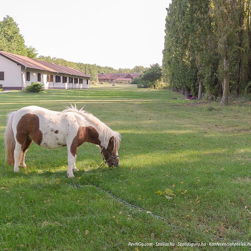 Sipito Pihenőpark Pilis