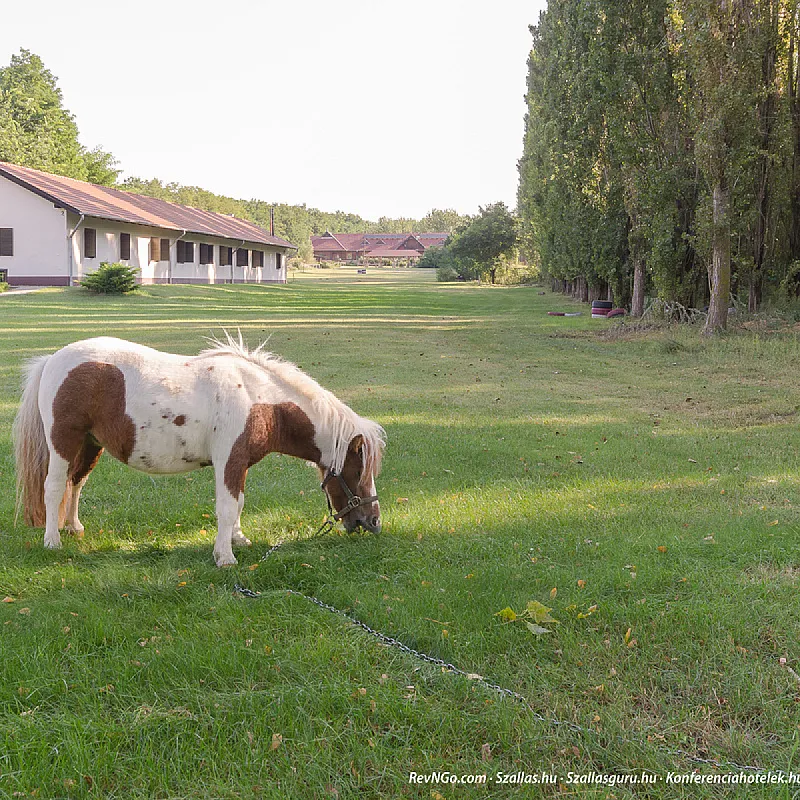 Sipito Pihenőpark Pilis