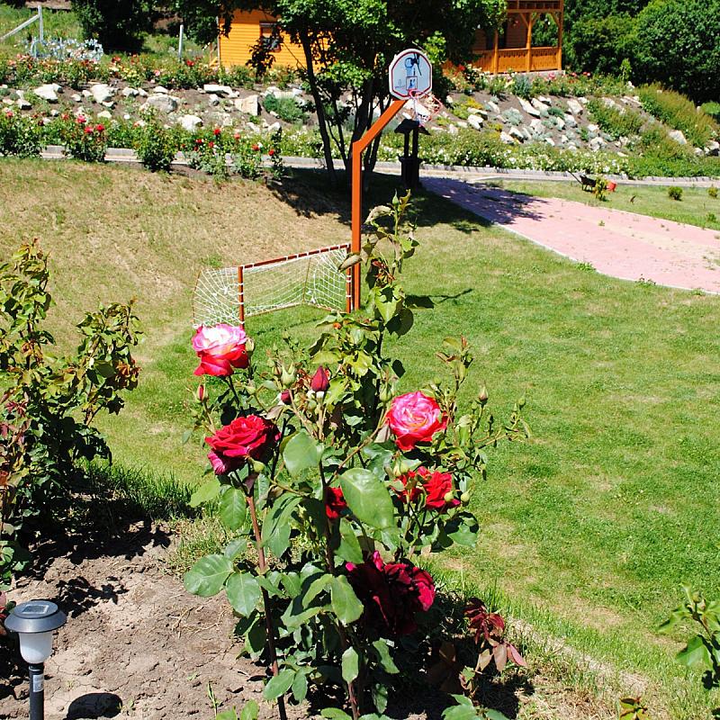 Rózsapark Vendégház Demjén