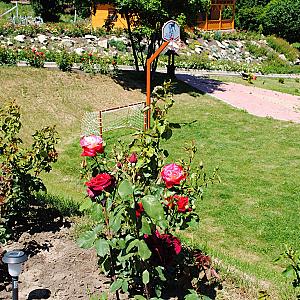 Rózsapark Vendégház Demjén