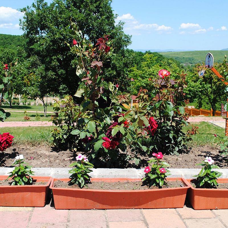 Rózsapark Vendégház Demjén