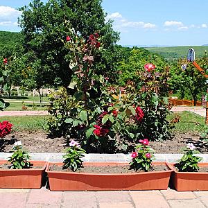 Rózsapark Vendégház Demjén