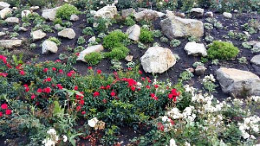 Rózsapark Vendégház Demjén