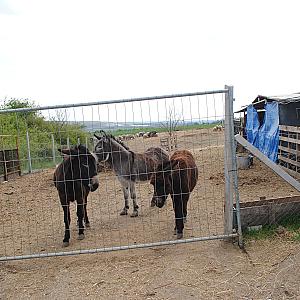 Rózsapark Vendégház Demjén