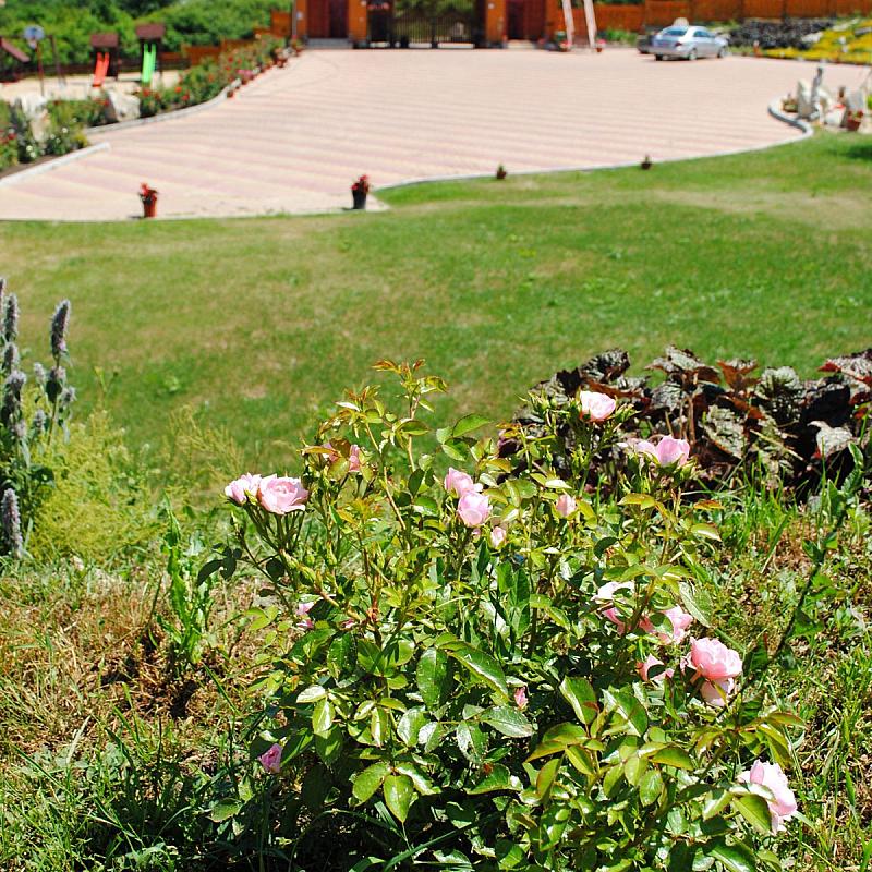 Rózsapark Vendégház Demjén