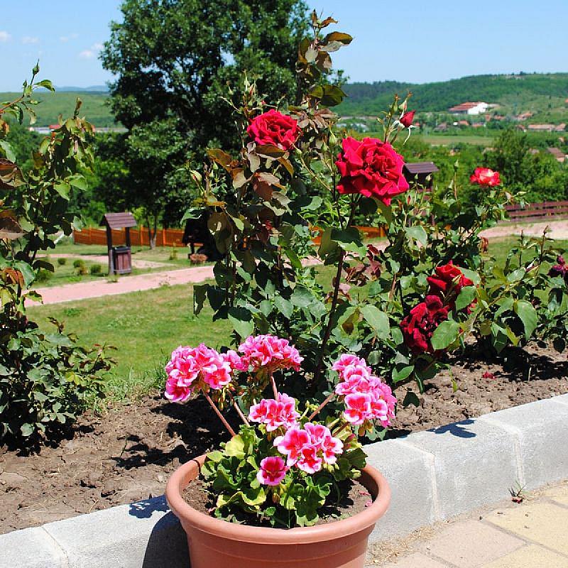 Rózsapark Vendégház Demjén